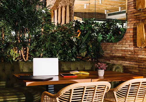 Biophilic Design: Bringing the Outdoors In