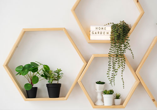 Bring the Outdoors In